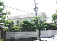 �������t�H�[���{�H�O