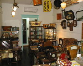 �V�����g��(�k�l���g���̎o���X)